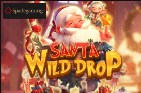 Game 9 Wildz Casino